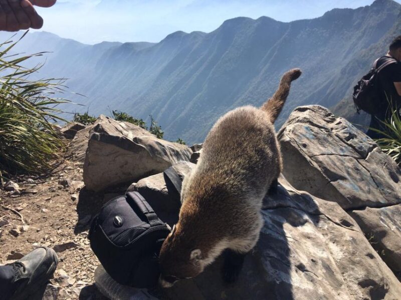 Cerro De La Silla Hiking Tour With Guide and Transfer - Customer Reviews