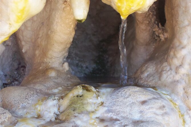 Cerro De Sal Trekking - Exploring the Salt Formations