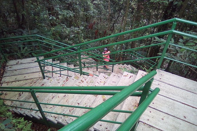 Cerro Tortuguero Tour (Aaron Tours) - Meeting and Pickup