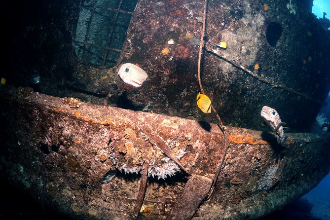 Certified Diver:2-Tank Deep Wreck and Shallow Reef Dives off Oahu - Diver Certification Requirements