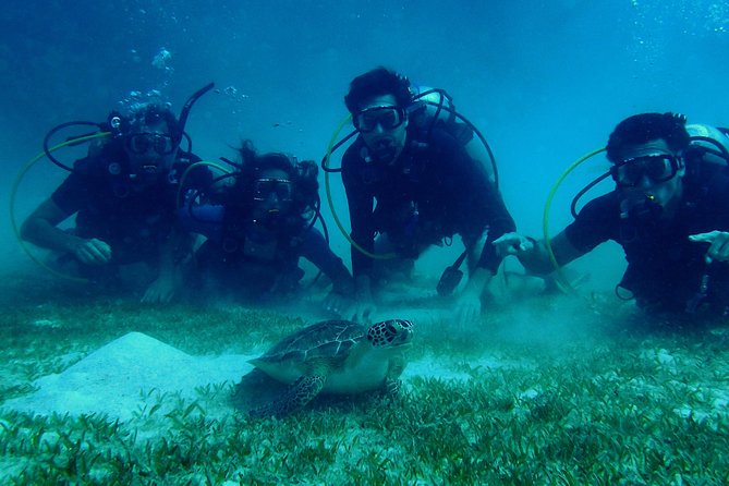 Certified Guided Reef Dive in St Thomas - Dive Details