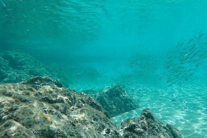 Certified Guided Reef Dive in St Thomas - Certification and Experience