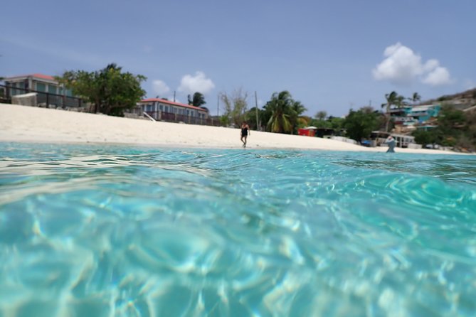 Certified Guided Reef Dive in St Thomas - Sightings and Highlights