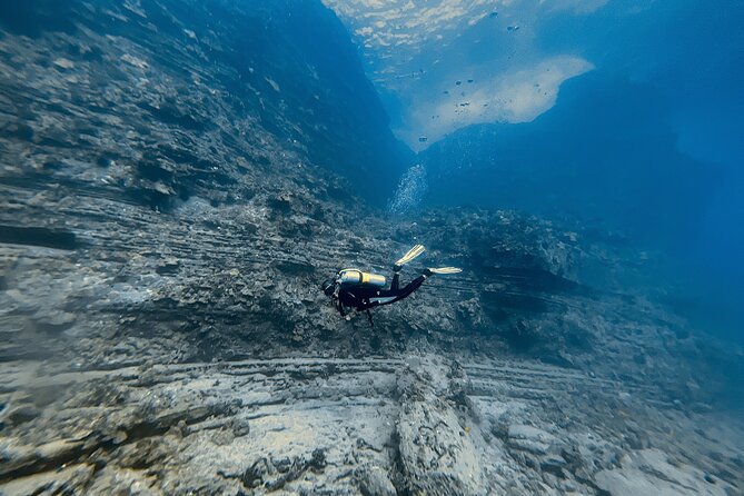 Certified Scuba Diving Experience in Honolulu - Participant Reviews and Ratings