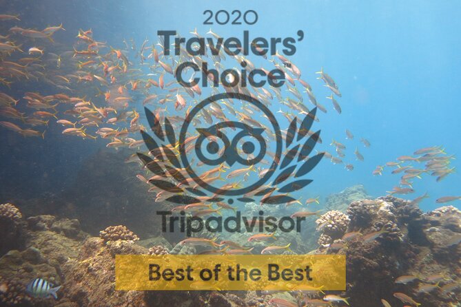 Certified Shore Dive in Kaanapali - Important Notes and Requirements
