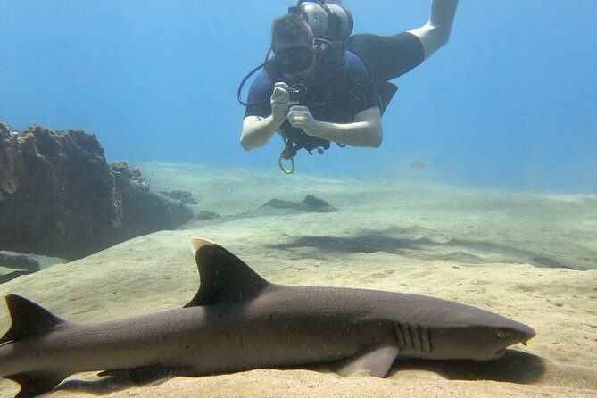 Certified Shore Dive in Kaanapali - Diverse Marine Life Encounters