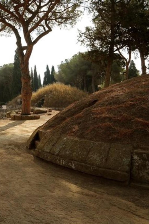 Cerveteri - the Etruscan Necropolis Private Tour From Rome - Key Points
