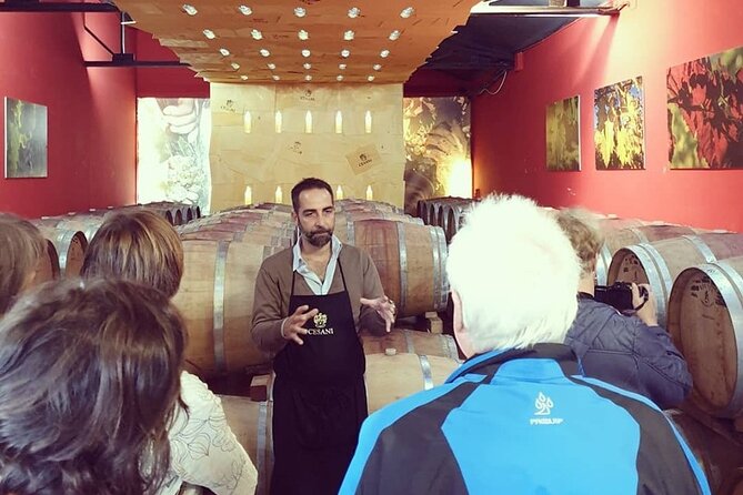 Cesani Wine Experience - Accessibility and Participation