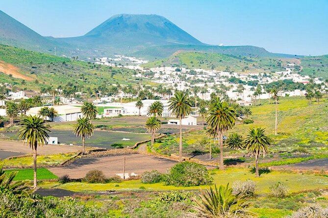 César Manrique: Northern Lanzarote Guided Tour - Tour Details and Logistics