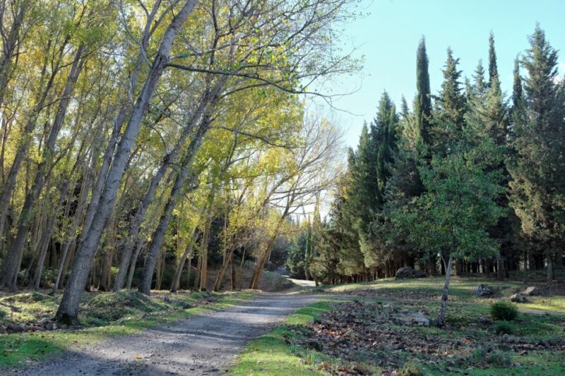 Cesarò: Full Day Tour of Nebrodi Park in a 4x4 - Highlights and Itinerary