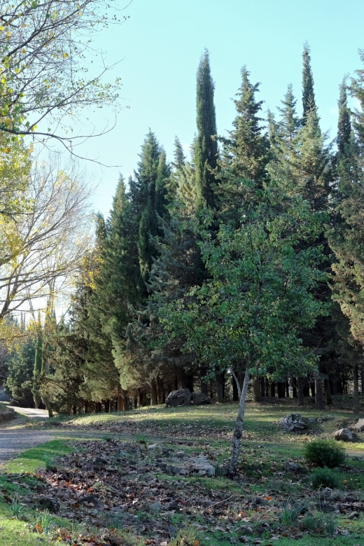 Cesarò: Full Day Tour of Nebrodi Park in a 4x4 - Participant Information