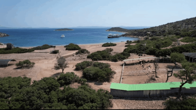 Cesme: Islands and Bays Boat Trip With BBQ Lunch - Guest Ratings