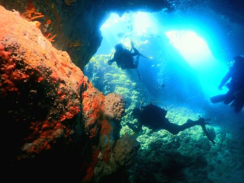 Cesme: Scuba Diving Experience - Diving Highlights