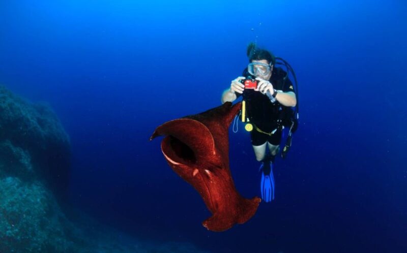 Cesme: Scuba Diving Experience - Meeting Point