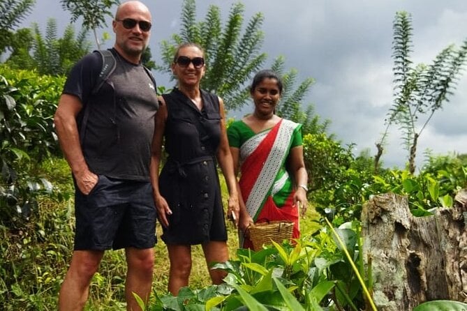 Ceylon Tea Experience Start From Colombo Port Passenger Terminal - Traveler Participation