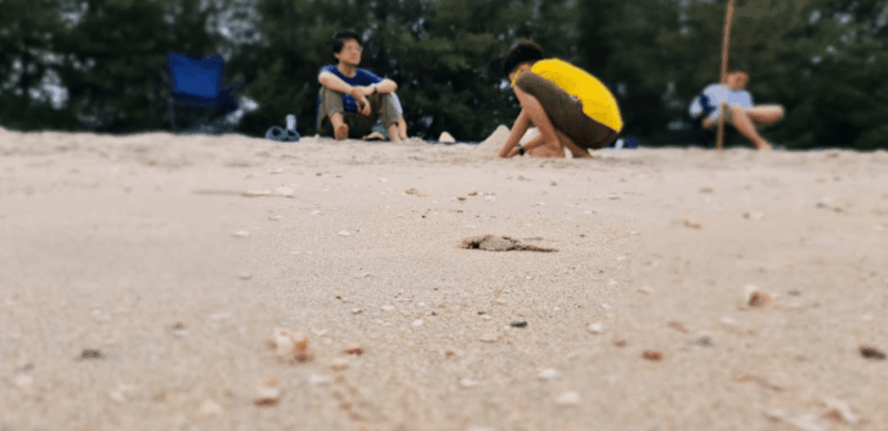 Cha Am: Private One Day City Tour - Contact Information