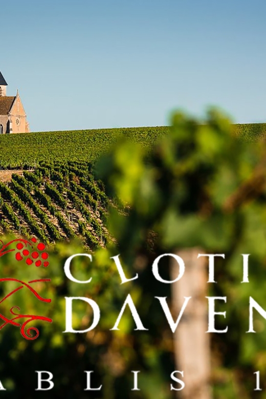 Chablis Clotilde Davenne Visit and Tasting in English - Discovering the Terroir and History