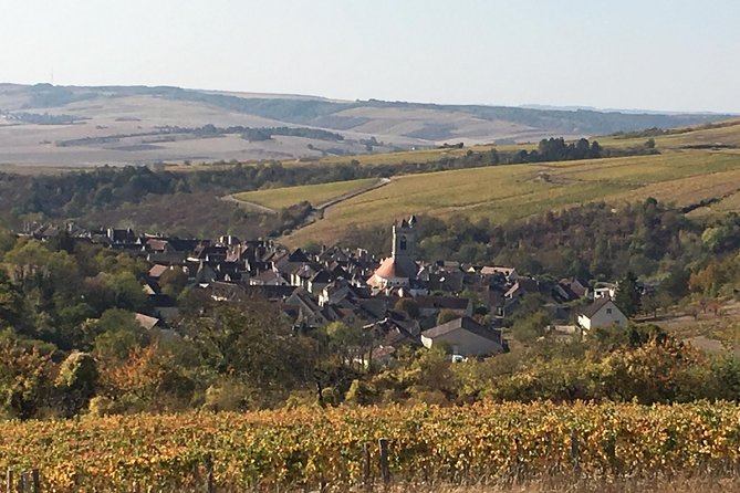 Chablis & Northern Burgundy Wine Tour - Domaine Louis Moreau