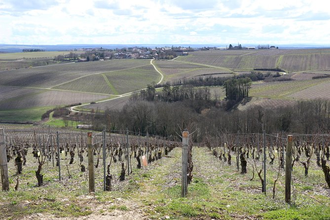 Chablis & Northern Burgundy Wine Tour - Vineyard Visits