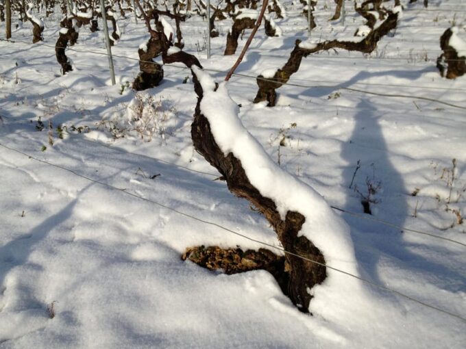 CHABLIS PRIVATE HALF DAY WINE TOUR - Pricing and Inclusions
