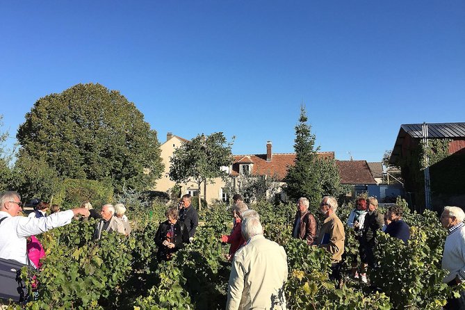 Chablis Tour and Tasting at Domaine Clotilde Davenne - Accessibility and Safety