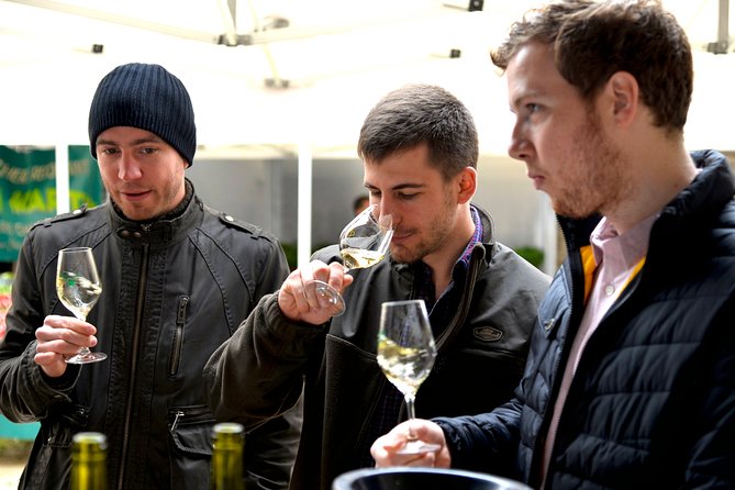 Chablis Tour and Tasting at Domaine Clotilde Davenne - Booking Details and Guarantee