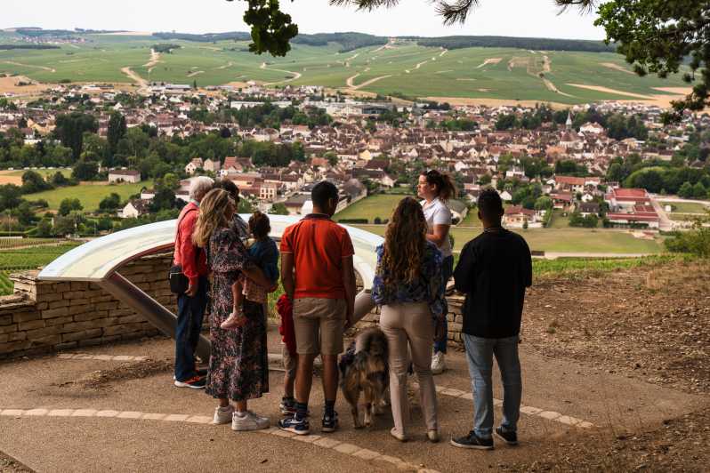 Chablis: Visit of the Grand Cru Vineyard - Wine Tasting Experience