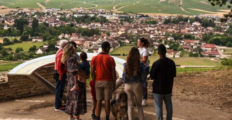 Chablis: Visit of the Grand Cru Vineyard - Getting There