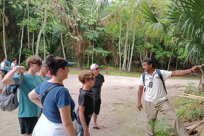 Chacchoben Mayan Ruins Excursion - Challenges and Suggestions