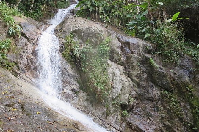 Chaesorn National Park Trekking - Trekking to Doi Mon Lan