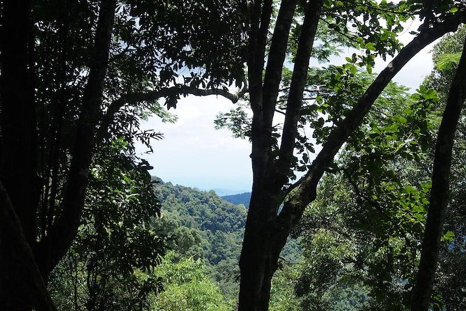 Chaesorn National Park Trekking - Highlights of the Trekking Experience