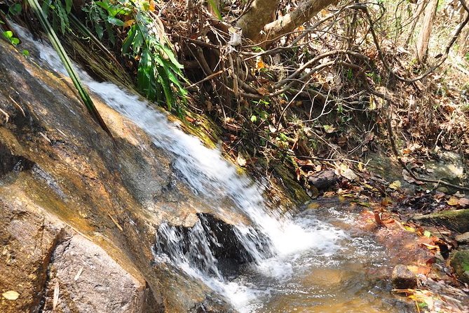 Chaesorn National Park Trekking - Participant Suitability
