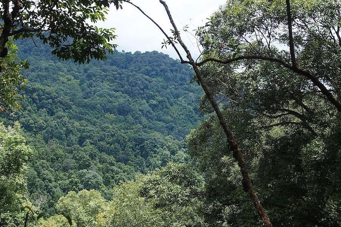 Chaesorn National Park Trekking - Preparing for Your Trek