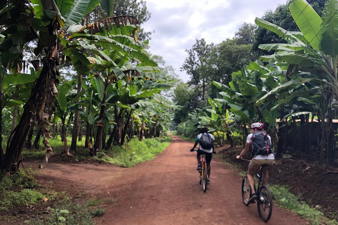 Chagga Villages in Mount Kilimanjaro Cycling Day Trip - Riding Past Coffee Farms