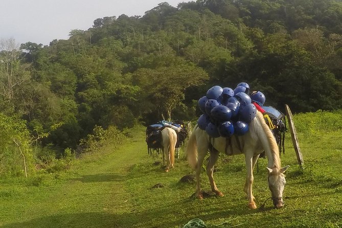 Chagres Challenge Overnight - 2 Days Jungle Expedition in Chagres National Park - Key Points