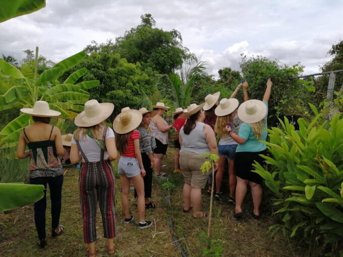 Chaing Mai : Cooking in Organic Farm With a Local Train Trip - Favorite Dish Selection