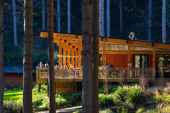 Chairlift Sightseeing Pass at the Christchurch Adventure Park - Positive Guest Experiences