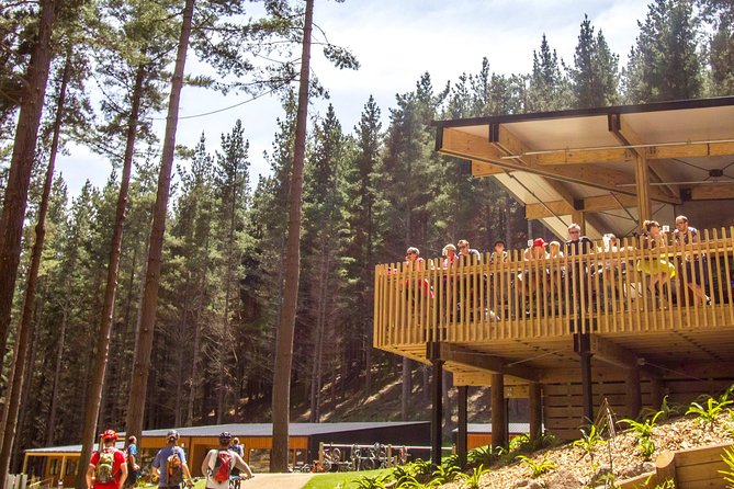 Chairlift Sightseeing Pass at the Christchurch Adventure Park - Activity and Itinerary