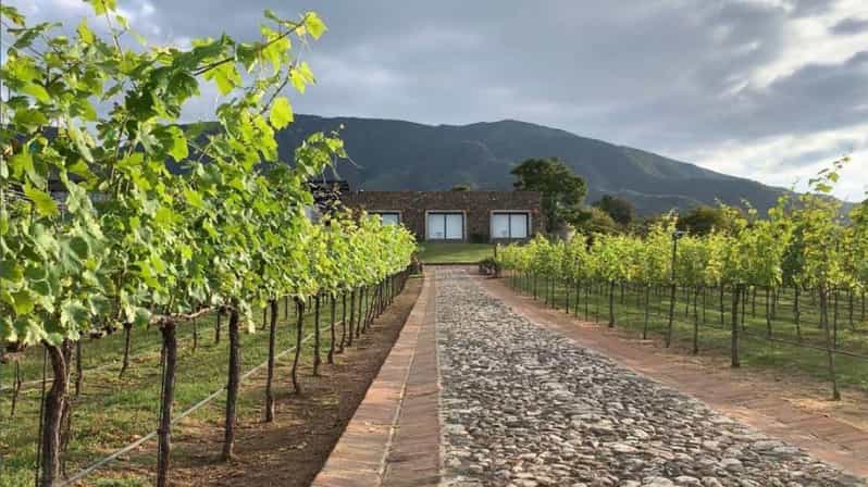 Chalapa: Vineyards Tour - Key Points