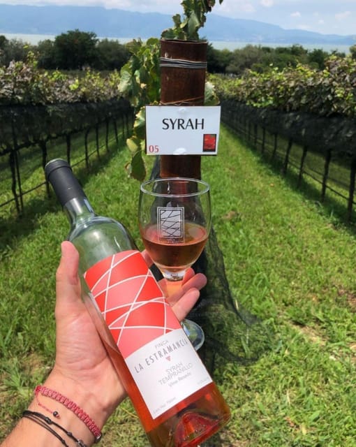 Chalapa: Vineyards Tour - Guided by Seasoned Viticulturists