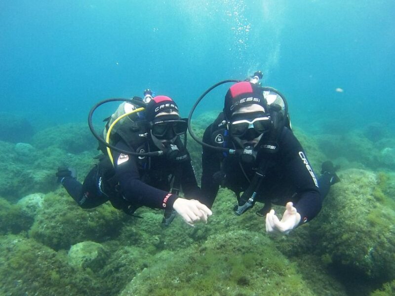 Chalkidiki: Scuba Diving for Beginners in Kassandra - Diverse Marine Life Encounters