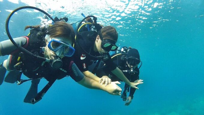 Chalkidiki: Scuba Diving for Beginners in Kassandra - Frequently Asked Questions