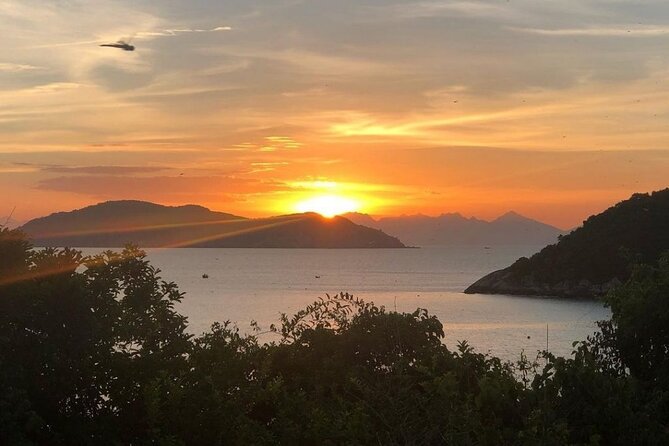Cham Island Daily Tour - Snorkeling Experience - Immersive Marine Ecosystem