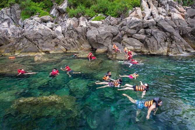 Cham Island Day Tour & Snorkeling From Da Nang With Group Tour - Customer Reviews