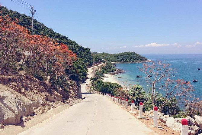 Cham Island Day Tour With Snorkeling - Tour Overview
