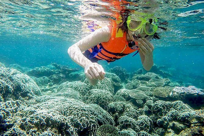 Cham Island Day Tour With Snorkeling - Itinerary