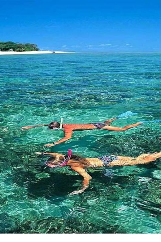 Cham Island on a Speedboat Snorkeling Tour From Da Nang - Snorkeling Highlights