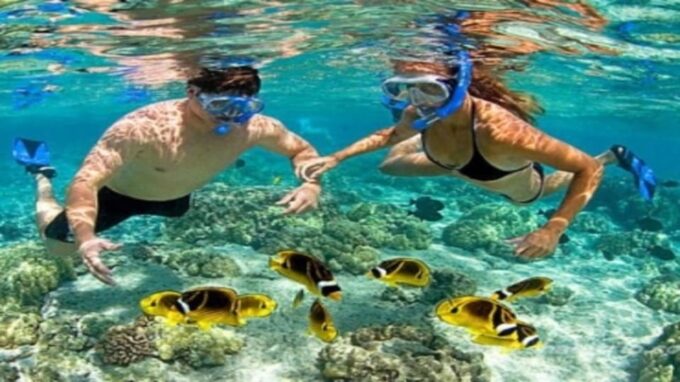 Cham Island on a Speedboat Snorkeling Tour From Da Nang - Pickup and Dropoff