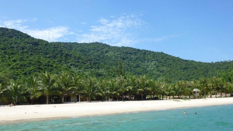 Cham Island: Sightseeing and Snorkeling Day Trip - Key Points