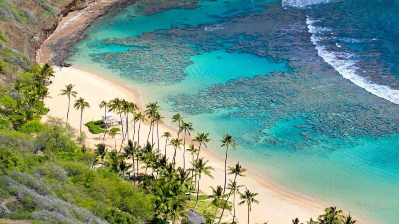 Cham Island: Sightseeing and Snorkeling Day Trip - Island Attractions